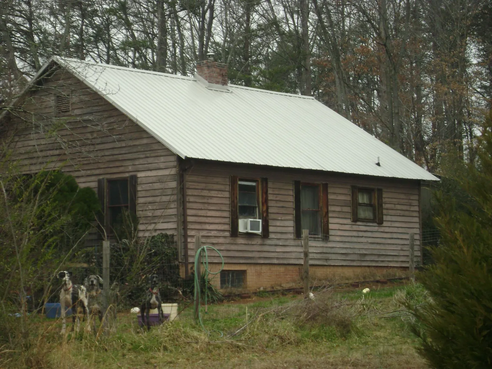 White metal roof on an old wood sided farmhouse, from a Asphalt Shingle Roof Repair job in Mount Morris